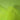 Tüll – Neonlime