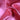 Krepp Satin Fuchsia