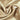 Satin Champagner – Edler Stoff mit Seidenglanz