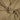 Viskose Jersey – Cappuccino Beige, weich & elastisch